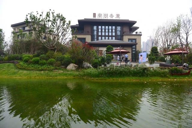 MS88�������Ϻ���´չʾ��