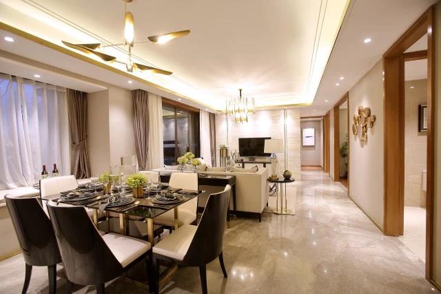 MS88�������Ϻ���´������ھ�