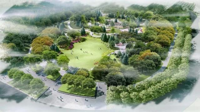 MS88����(�й���½)�ٷ���վ