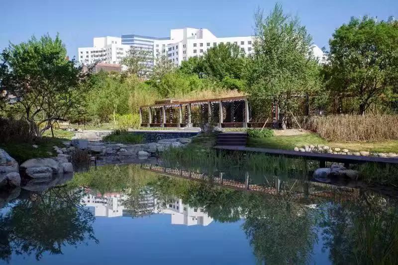 MS88����(�й���½)�ٷ���վ