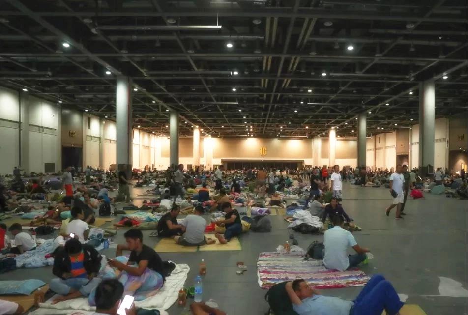 MS88����(�й���½)�ٷ���վ