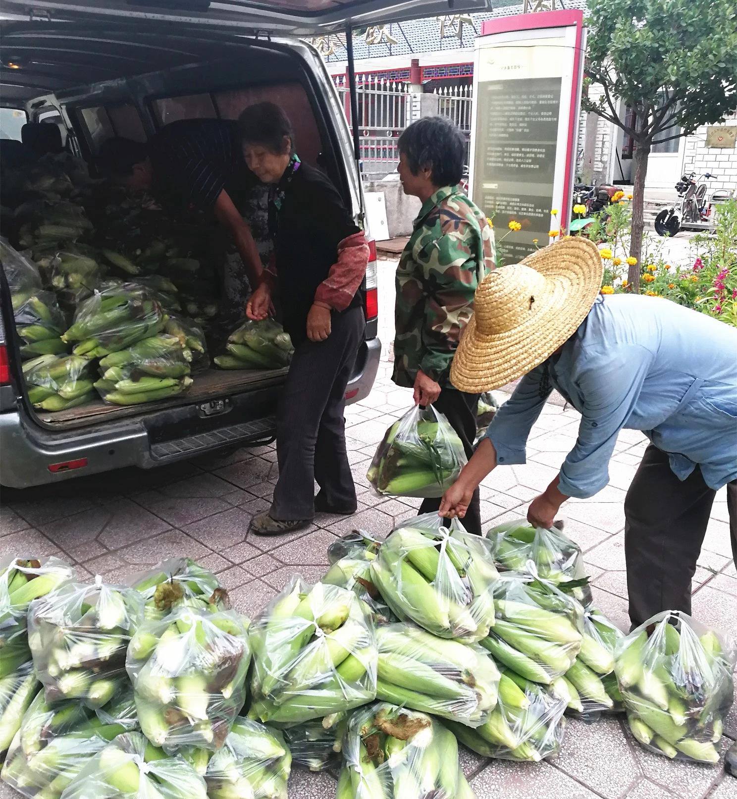 MS88Ã÷Éý(Öйú´ó½)¹Ù·½ÍøÕ¾