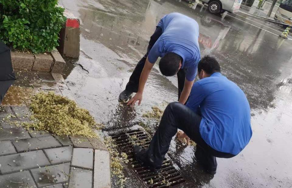 MS88����(�й���½)�ٷ���վ