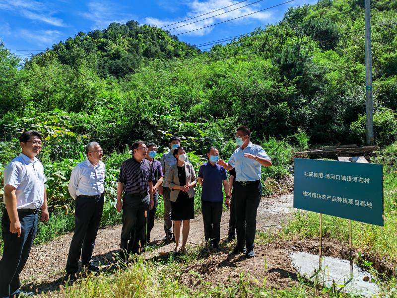 MS88����(�й���½)�ٷ���վ