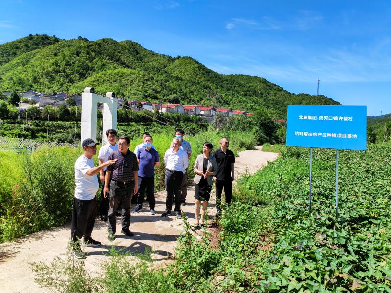 MS88����(�й���½)�ٷ���վ