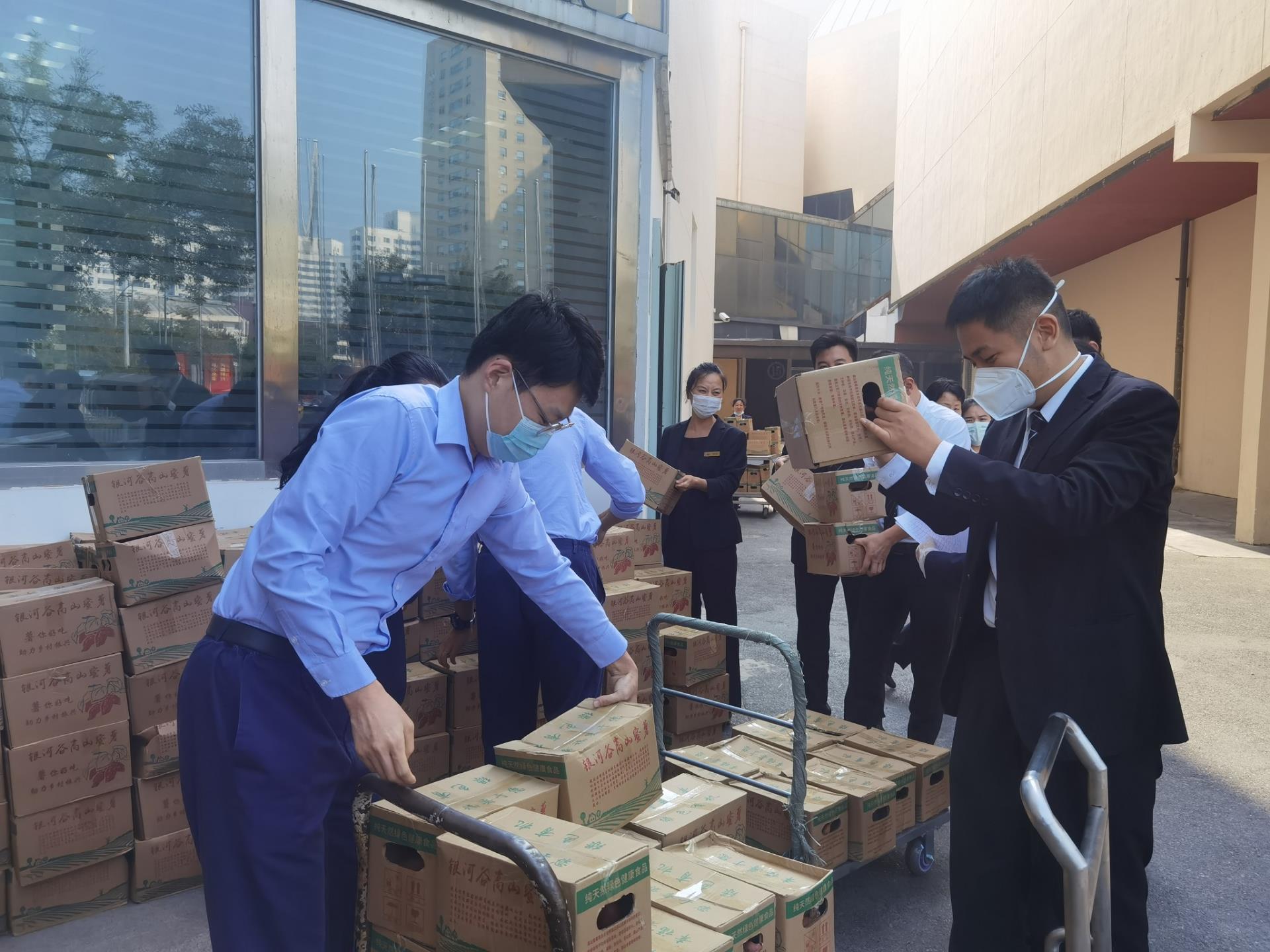 MS88����(�й���½)�ٷ���վ