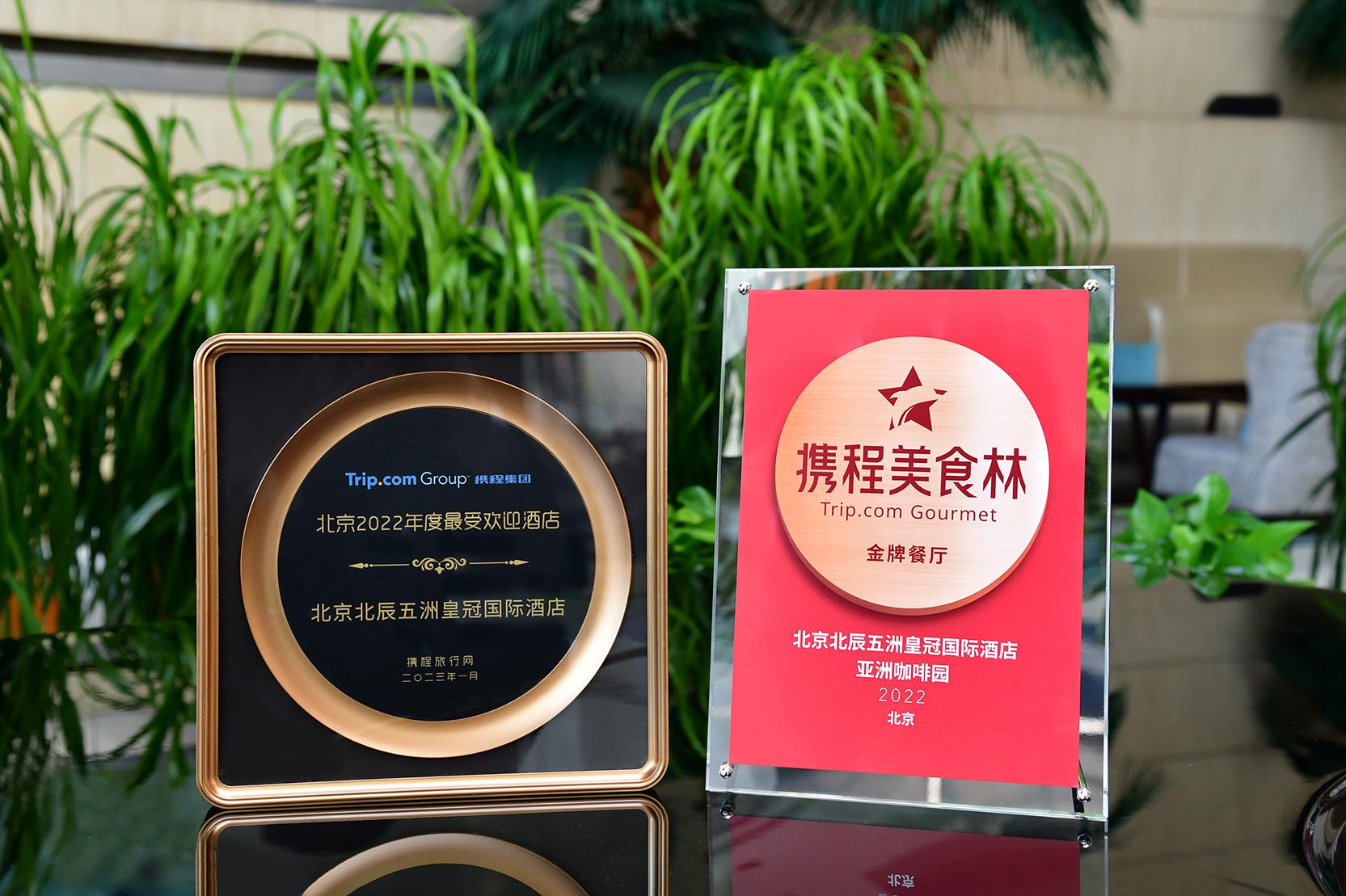 MS88����(�й���½)�ٷ���վ