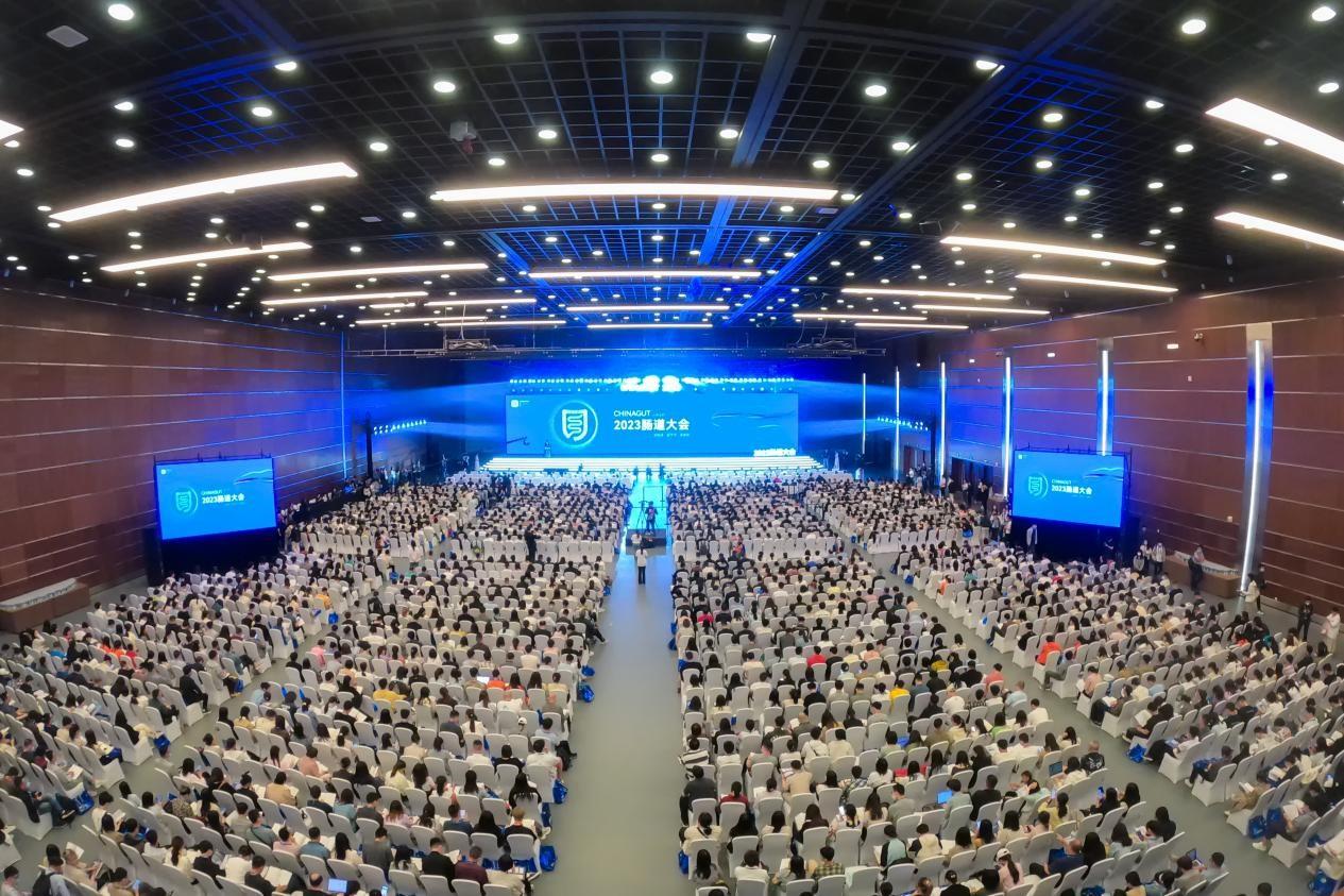 MS88����(�й���½)�ٷ���վ