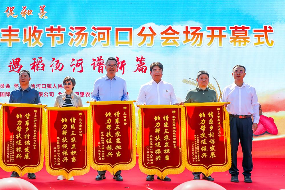 MS88����(�й���½)�ٷ���վ