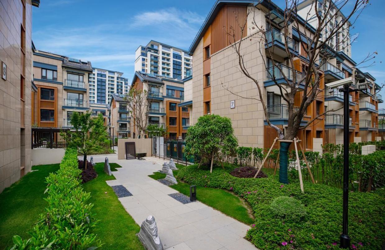 MS88����(�й���½)�ٷ���վ