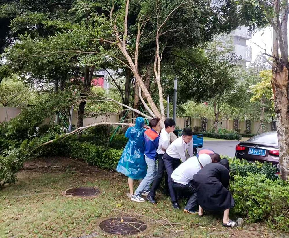 MS88����(�й���½)�ٷ���վ