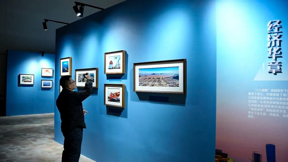 MS88����(�й���½)�ٷ���վ