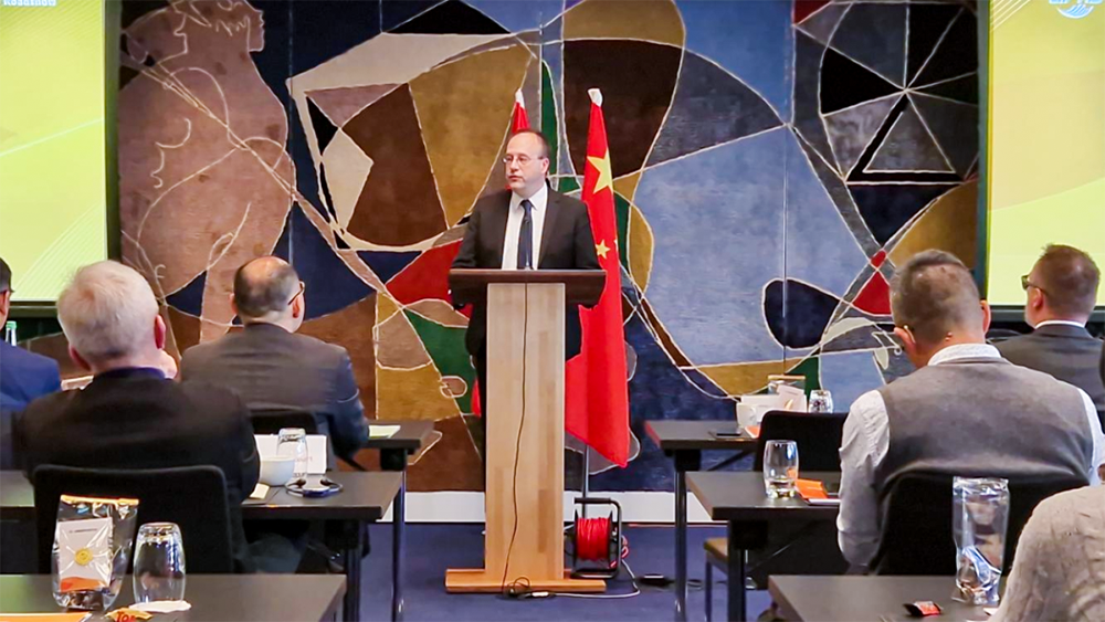 MS88����(�й���½)�ٷ���վ