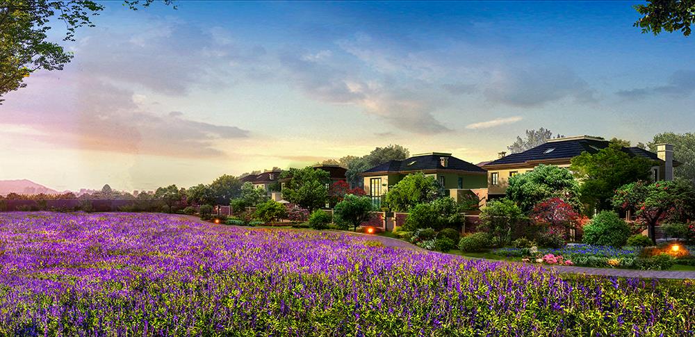 MS88����(�й���½)�ٷ���վ