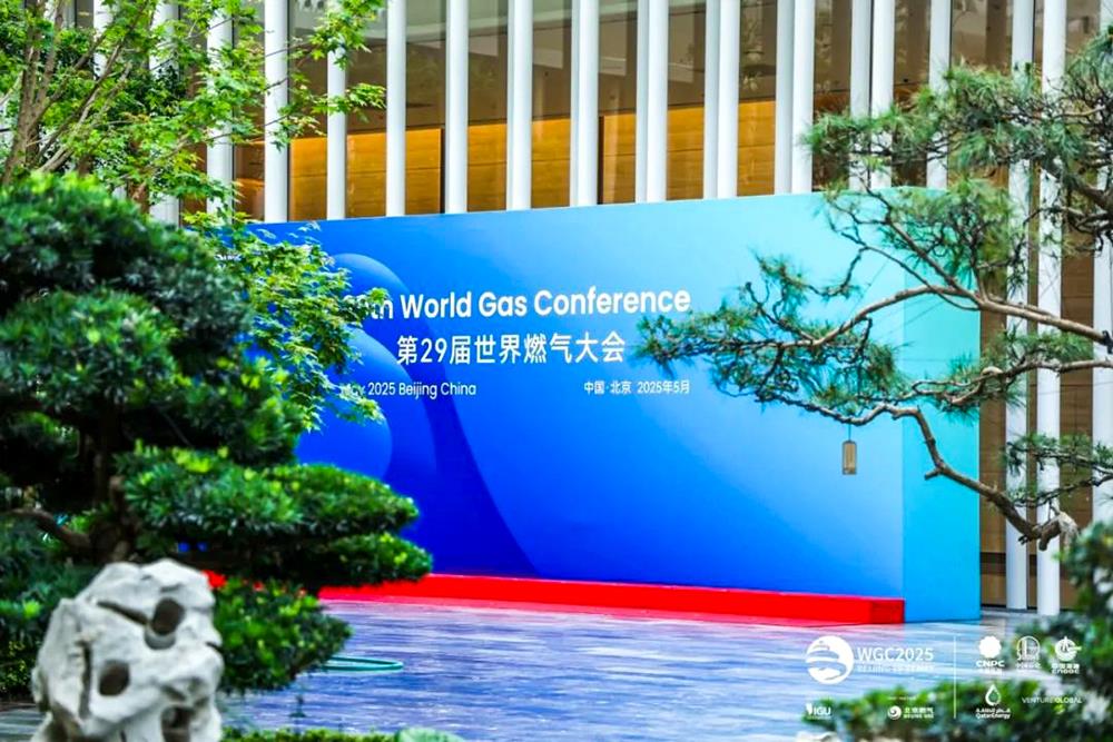 MS88����(�й���½)�ٷ���վ