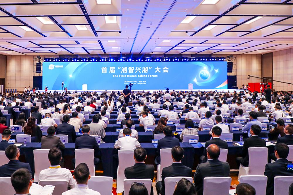 MS88����(�й���½)�ٷ���վ