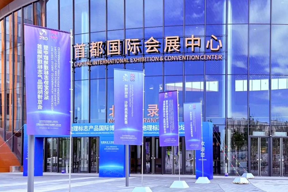 MS88����(�й���½)�ٷ���վ