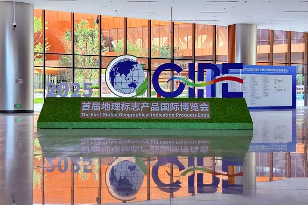 MS88����(�й���½)�ٷ���վ