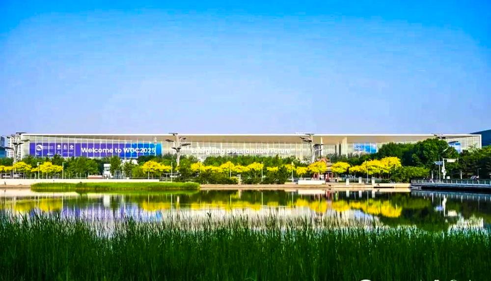 MS88����(�й���½)�ٷ���վ