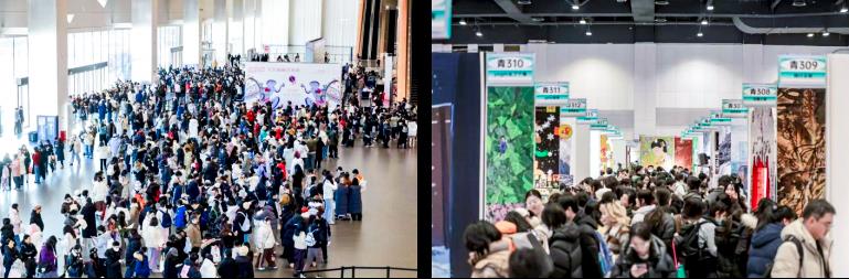 MS88����(�й���½)�ٷ���վ