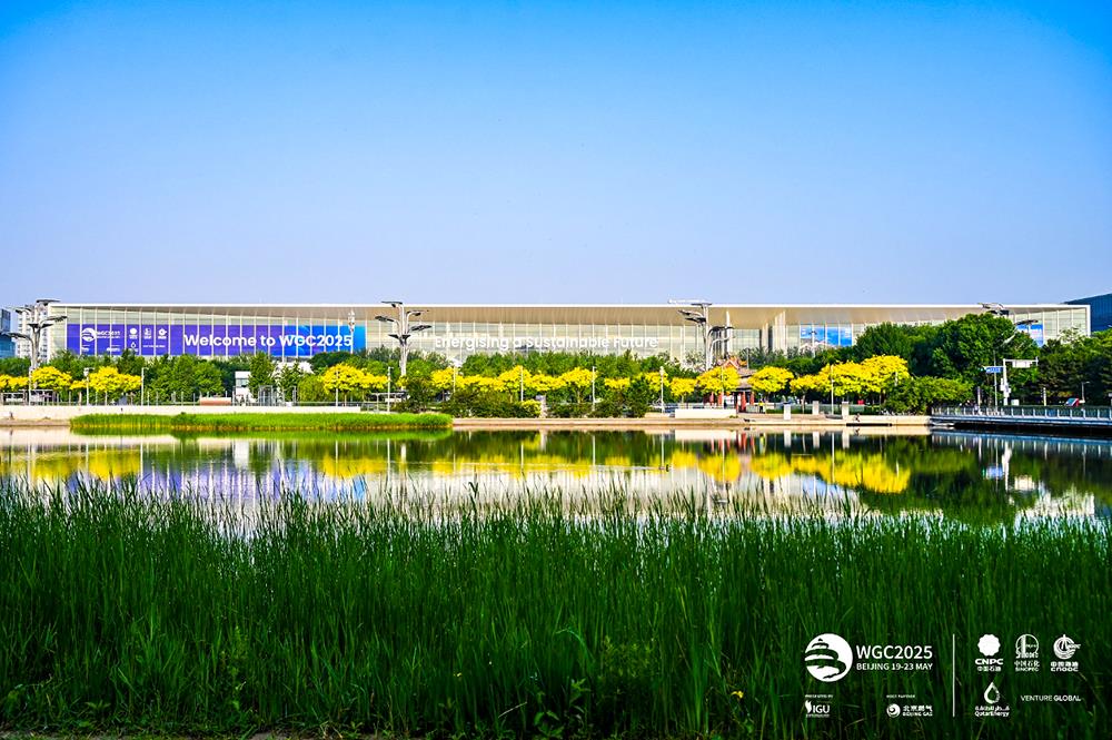 MS88����(�й���½)�ٷ���վ