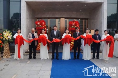 MS88����(�й���½)�ٷ���վ