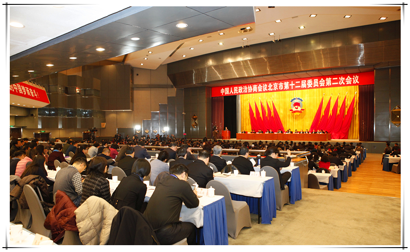 MS88����(�й���½)�ٷ���վ