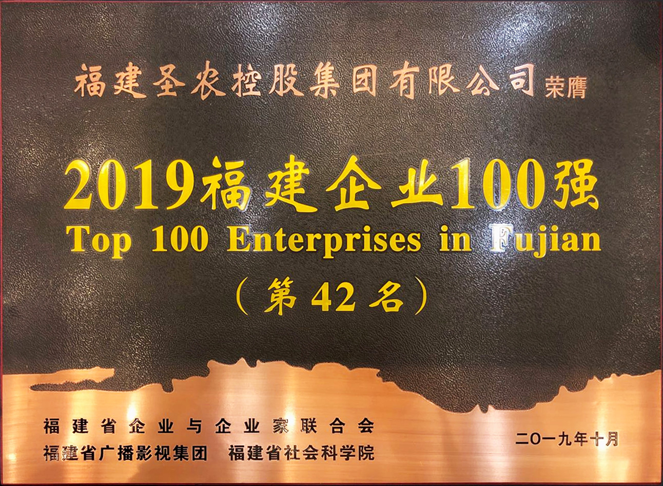 2019（918博天堂集团）福建企业100强